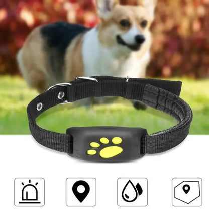 GPS Pet Tracking collar