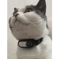 The Cam collar