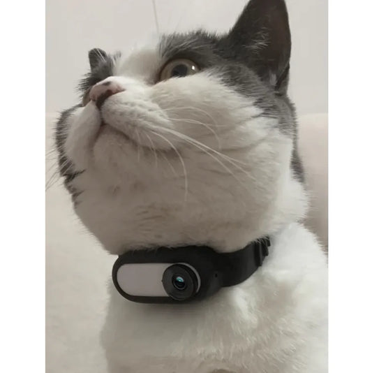 The Cam collar